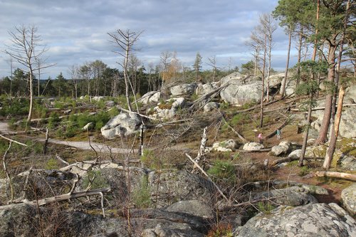 Area cover image showing a relevant boulder.
